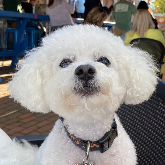 Meet your Posher, James - Picture 1 of 1